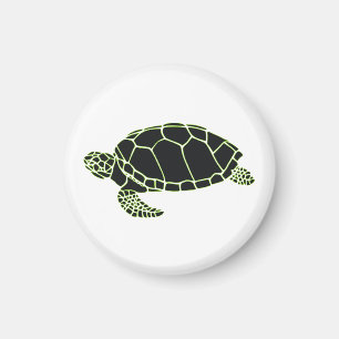 turtle magnet