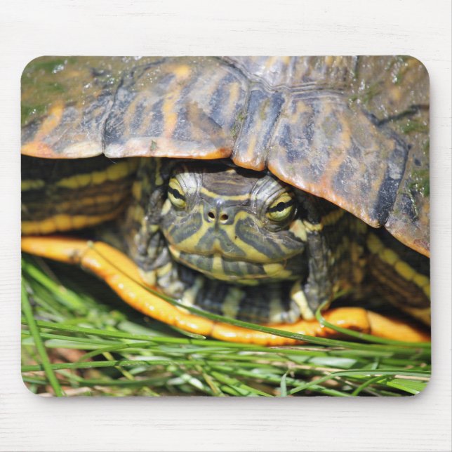Turtle Mouse Pad (Front)