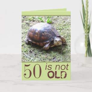 Turtle - Not Old - Birthday Card
