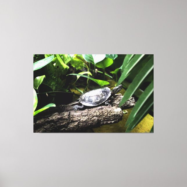 Turtle on a Log Canvas Print (Front)