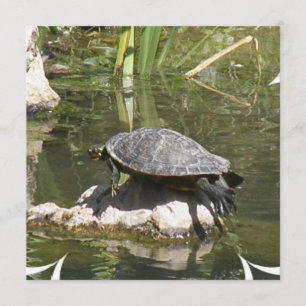 Turtle on a Rock Invitation