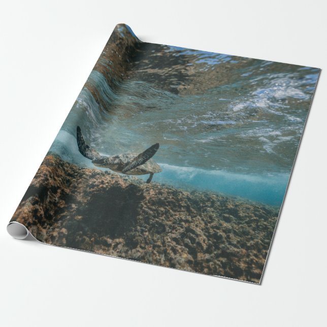 TURTLE ON THE MOVE WRAPPING PAPER (Unrolled)
