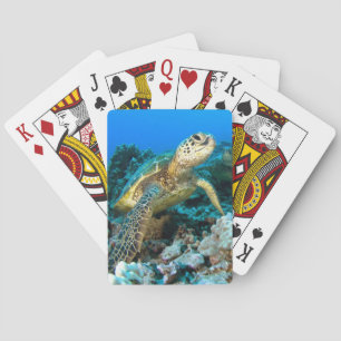 Turtle Pair Playing Cards