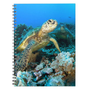 Turtle Pair Spiral Notebook