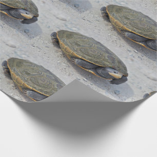 Turtle Photo Wrapping Paper