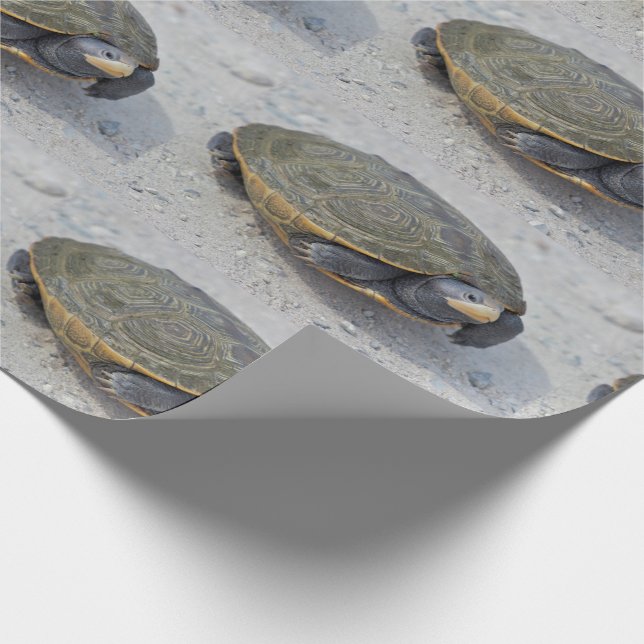 Turtle Photo Wrapping Paper (Corner)