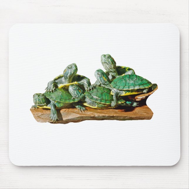 Turtle Picture Mousepad (Front)