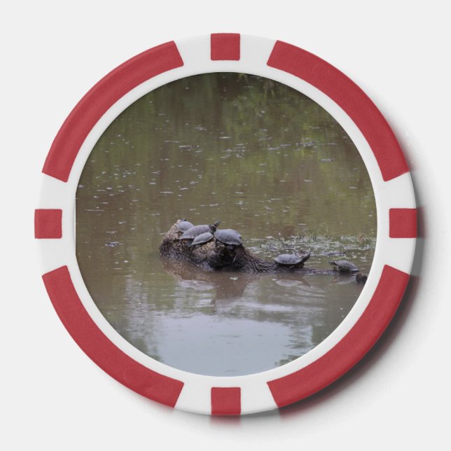 Turtle  poker chips (Front)