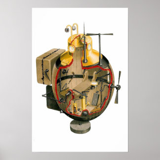 turtle poster