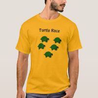 Turtle Race