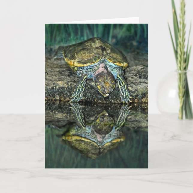 Turtle Reflection Card (Front)