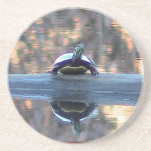 Turtle Reflection Coaster