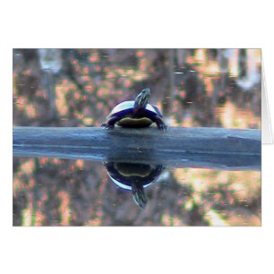 Turtle Reflections Card