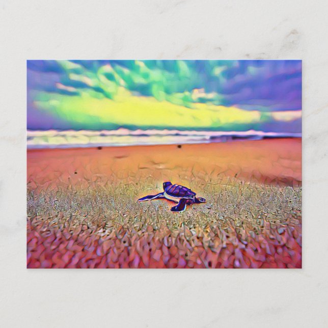 Turtle Reptile Animal Postcard (Front)