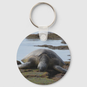Turtle Resting On The Rocks Key Ring