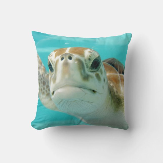 Turtle Round Clock Faux Canvas Print Cushion (Front)