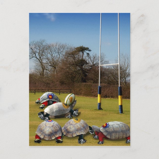 Turtle Rugby Postcard (Front)
