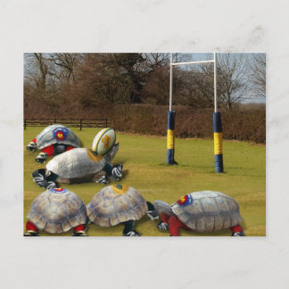 Turtle Rugby Postcard