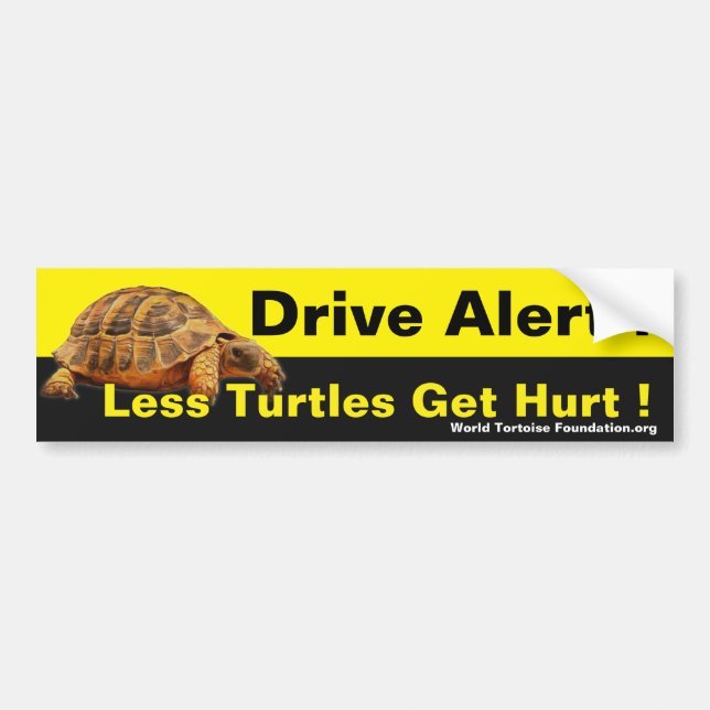 Turtle Safety Bumpersticker Bumper Sticker (Front)