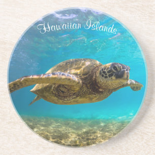 Turtle Sandstone Coaster