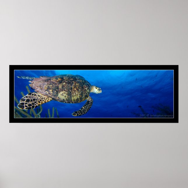 Turtle Seascape Poster (Front)