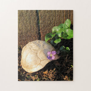 Turtle Shell At Sunset Jigsaw Puzzle