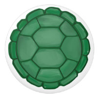 Turtle Shell Boys Room Sealife Animal Theme