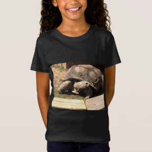 turtle shrit T-Shirt