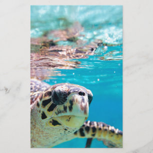 Turtle Stationery