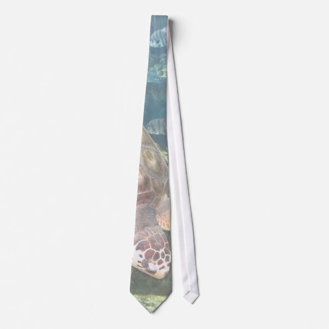 Turtle swimming amongst fish. tie (Front)