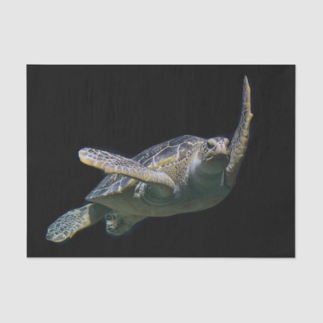 Turtle Swimming Sea Photo Tissue Paper (Front)