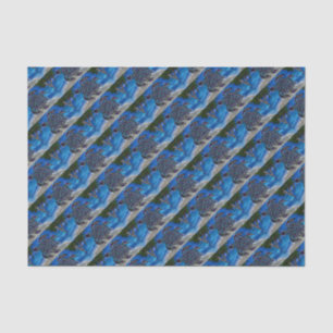Turtle Tissue Paper