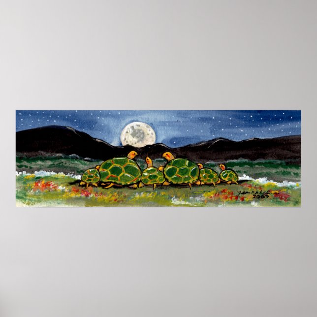 Turtle Tortoise Family Watching Moon Night Poster (Front)