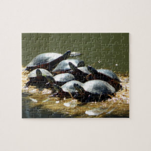 Turtle Troup Jigsaw Puzzle
