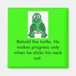Turtle Truth Magnet