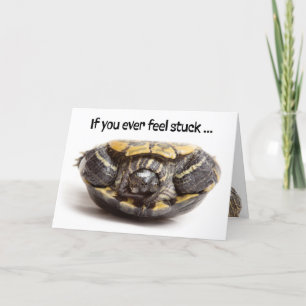 Turtle With Teeth Stuck on Back Encouragement  Holiday Card