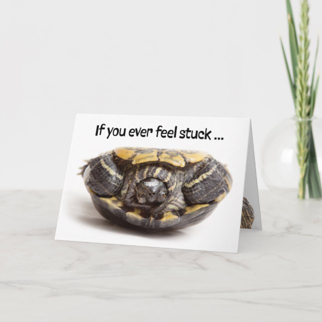 Turtle With Teeth Stuck on Back Encouragement  Holiday Card (Front)