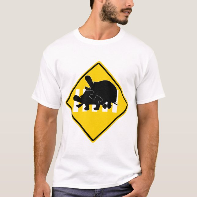 TURTLES CROSSING ROAD T-Shirt (Front)