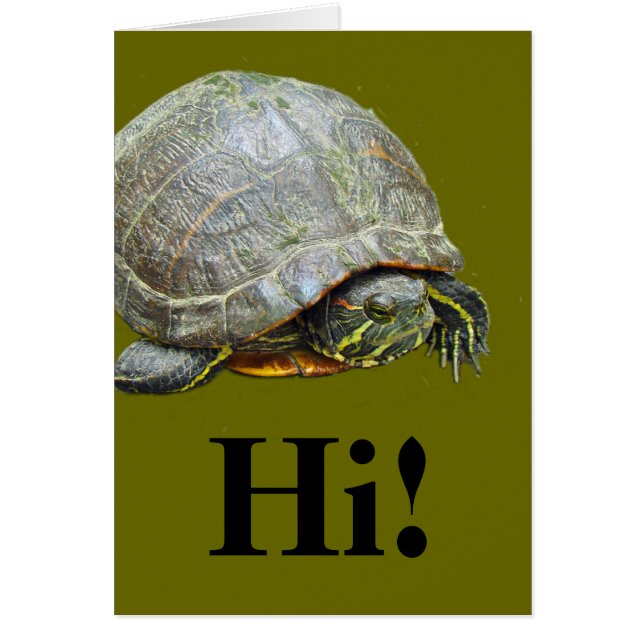 Turtle's Day Off (Front)