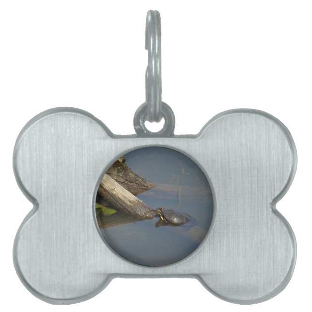Turtle's Day Off Pet Tag (Front)