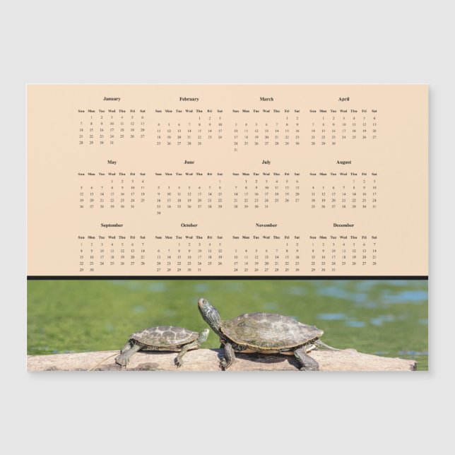 Turtles - Full year 2024 calendar (Front)