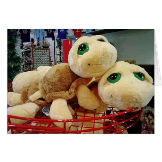 TURTLES HAVE EXCEPTIONAL NIGHT VISION (MISTLETOE) (Front Horizontal)