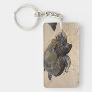 Turtles Key Ring