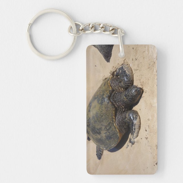 Turtles Key Ring (Front)