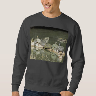 Turtles Men's Shirt