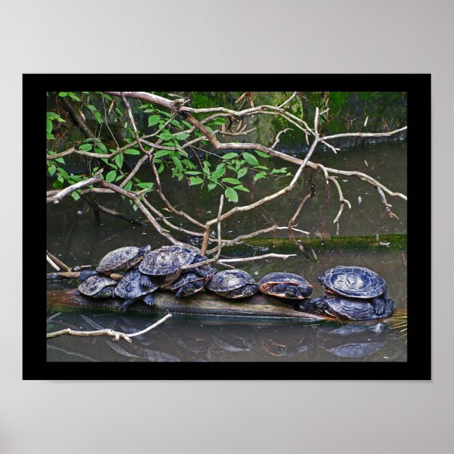 Turtles Pile Up Poster (Front)