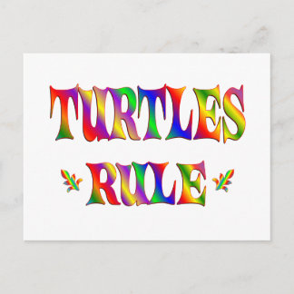 TURTLES RULE POSTCARD