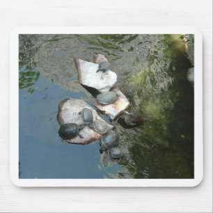 Turtles/Tortoises Mouse Pad