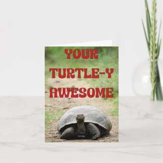 Turtley Awesome Birthday Wishes for a Slow-Mo Star Card