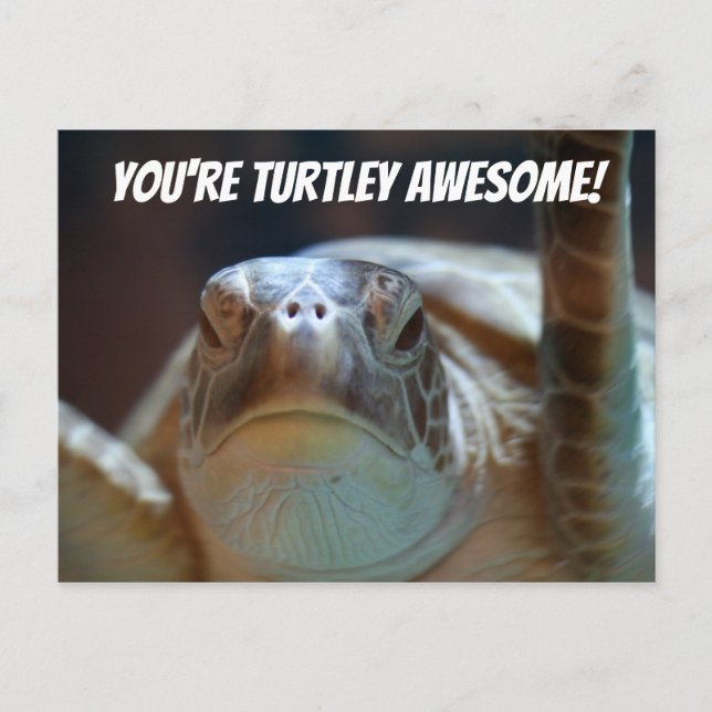 Turtley Awesome Postcard (Front)